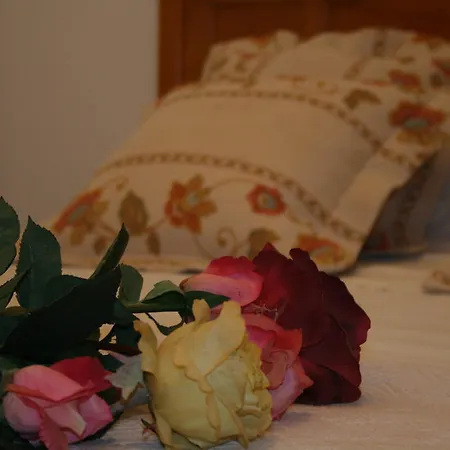 Guest house Isidro