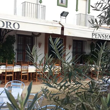 Guest house Isidro 2*